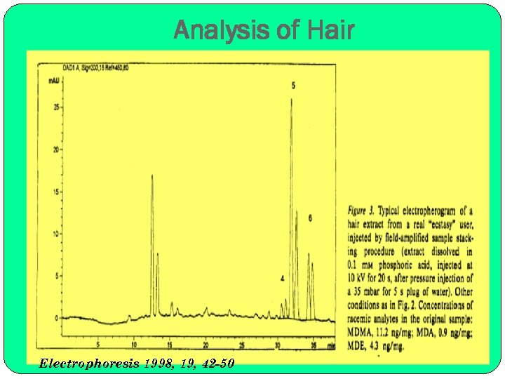 Analysis of Hair Electrophoresis 1998, 19, 42 -50 
