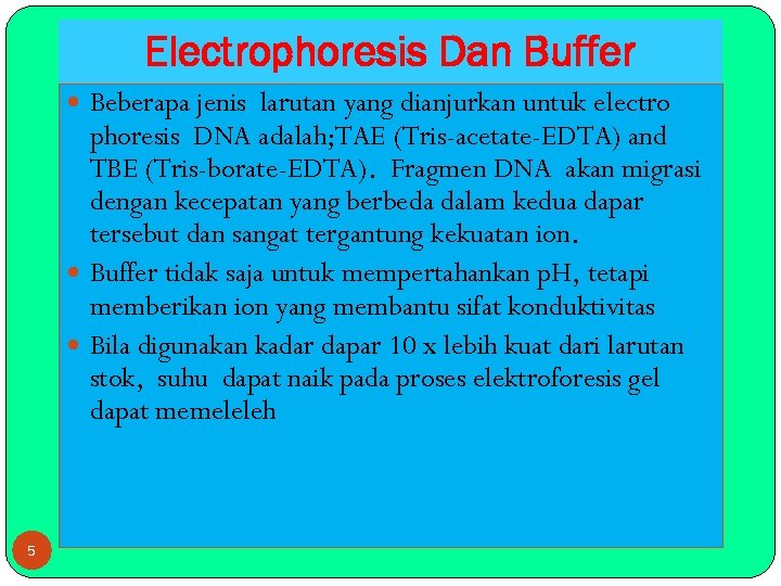 Electrophoresis Dan Buffer Beberapa jenis larutan yang dianjurkan untuk electro phoresis DNA adalah; TAE