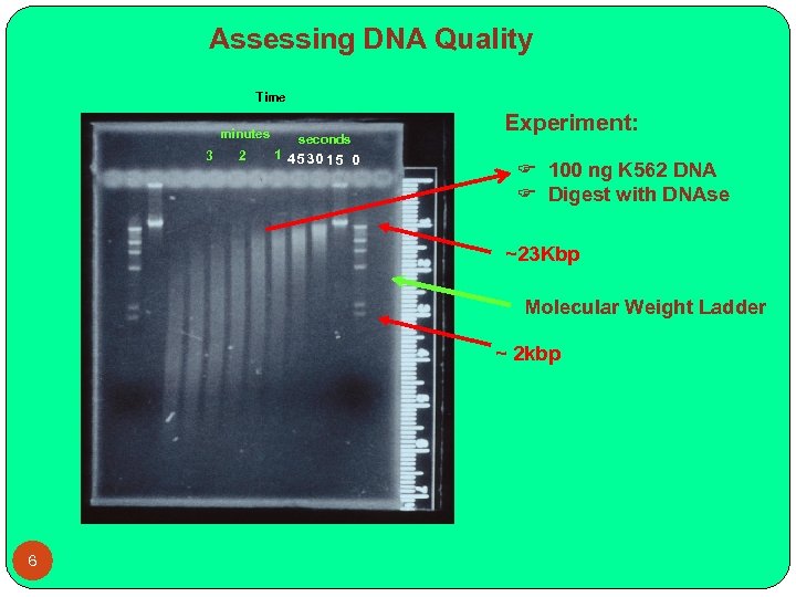 Assessing DNA Quality Time minutes 3 2 seconds 1 45 30 15 0 Experiment: