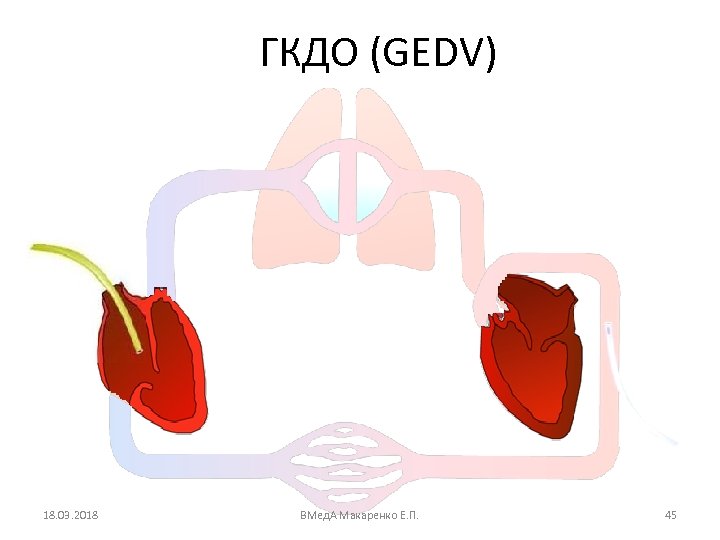 ГКДО (GEDV) 18. 03. 2018 ВМед. А Макаренко Е. П. 45 