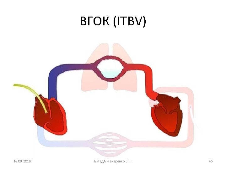 ВГОК (ITBV) 18. 03. 2018 ВМед. А Макаренко Е. П. 46 