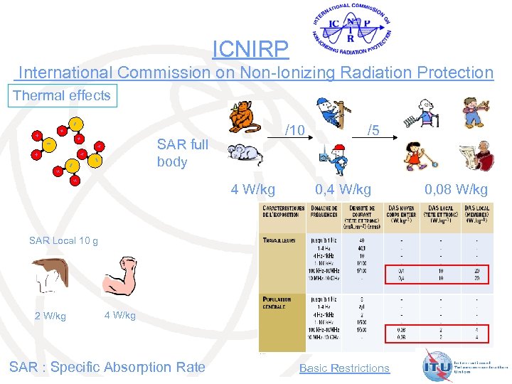 ICNIRP International Commission on Non-Ionizing Radiation Protection Thermal effects + /10 + - -