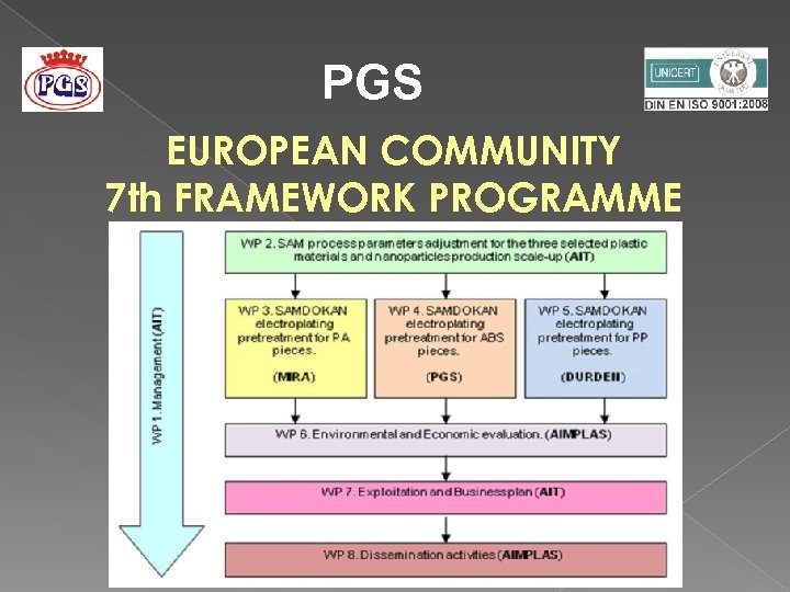 PGS EUROPEAN COMMUNITY 7 th FRAMEWORK PROGRAMME 