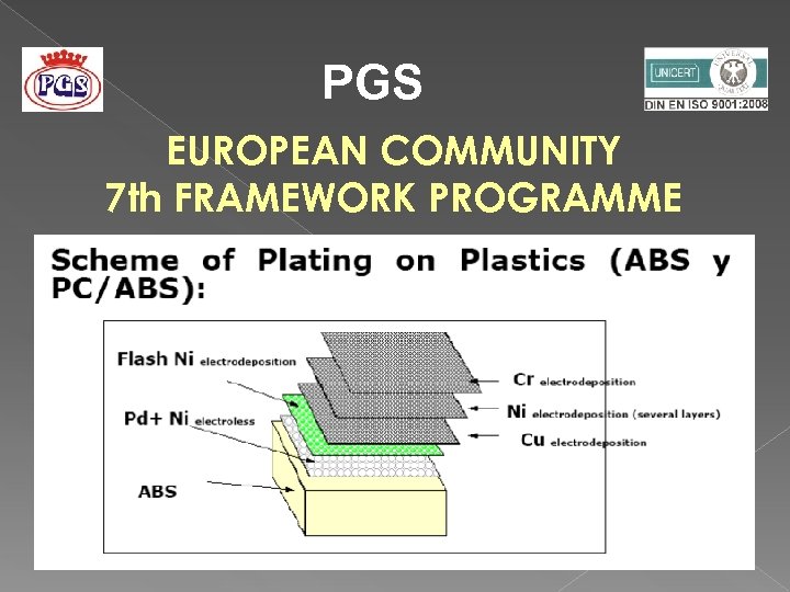 PGS EUROPEAN COMMUNITY 7 th FRAMEWORK PROGRAMME 