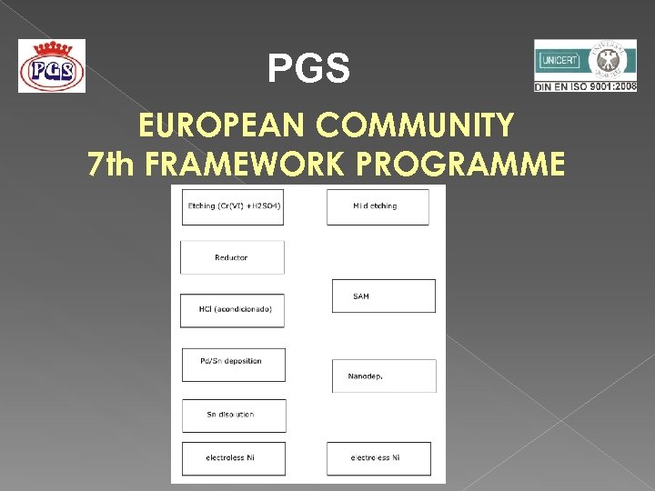 PGS EUROPEAN COMMUNITY 7 th FRAMEWORK PROGRAMME 