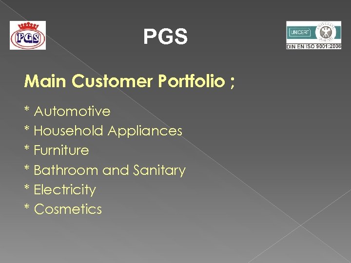 PGS Main Customer Portfolio ; * Automotive * Household Appliances * Furniture * Bathroom