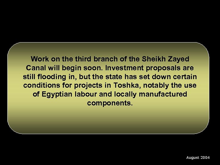 Work on the third branch of the Sheikh Zayed Canal will begin soon. Investment