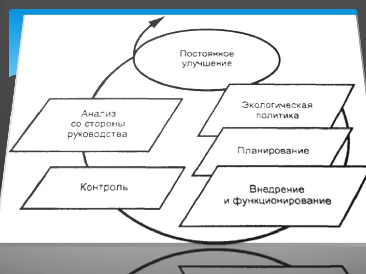 Структура экологического проекта