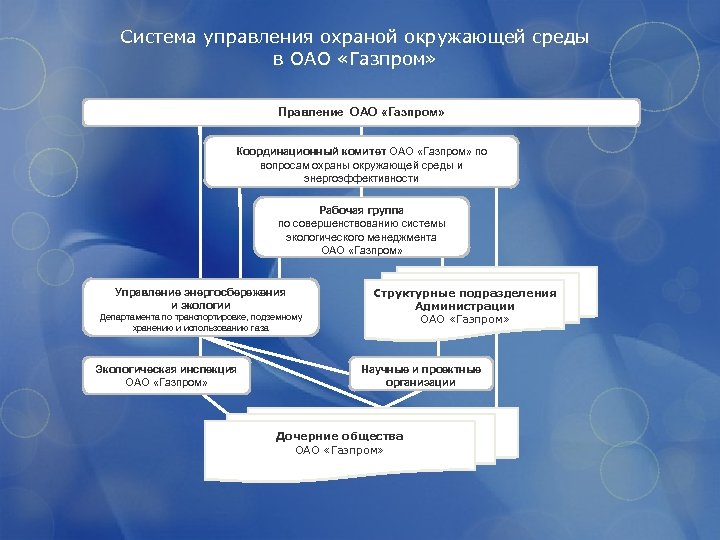 Руководящий документ по системе управления охраной окружающей среды образец