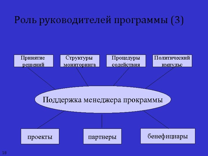 Роль руководителей программы (3) Принятие решений Структуры мониторинга Процедуры содействия Политический импульс Поддержка менеджера