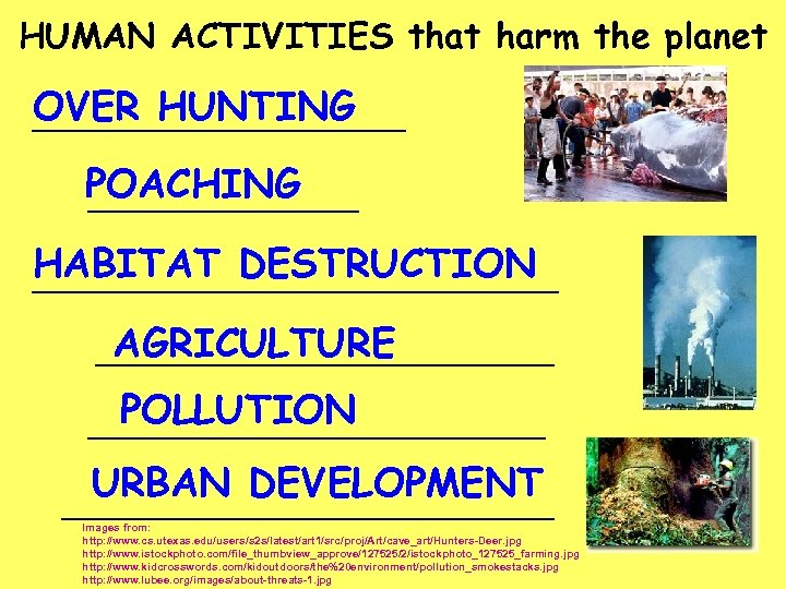 HUMAN ACTIVITIES that harm the planet OVER HUNTING ___________ POACHING ________ HABITAT DESTRUCTION ________________