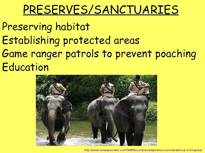 PRESERVES/SANCTUARIES Preserving habitat Establishing protected areas Game ranger patrols to prevent poaching Education http: