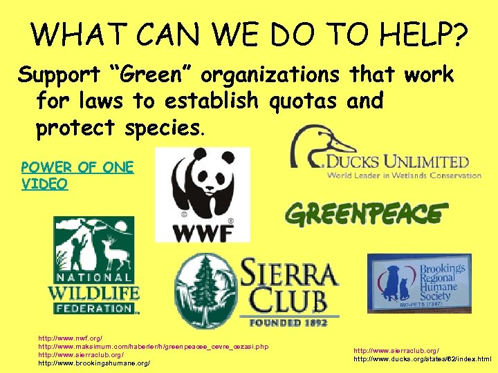 WHAT CAN WE DO TO HELP? Support “Green” organizations that work for laws to