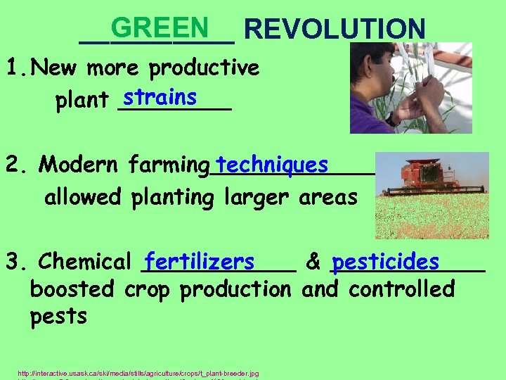 GREEN _____ REVOLUTION 1. New more productive strains plant ____ techniques 2. Modern farming______