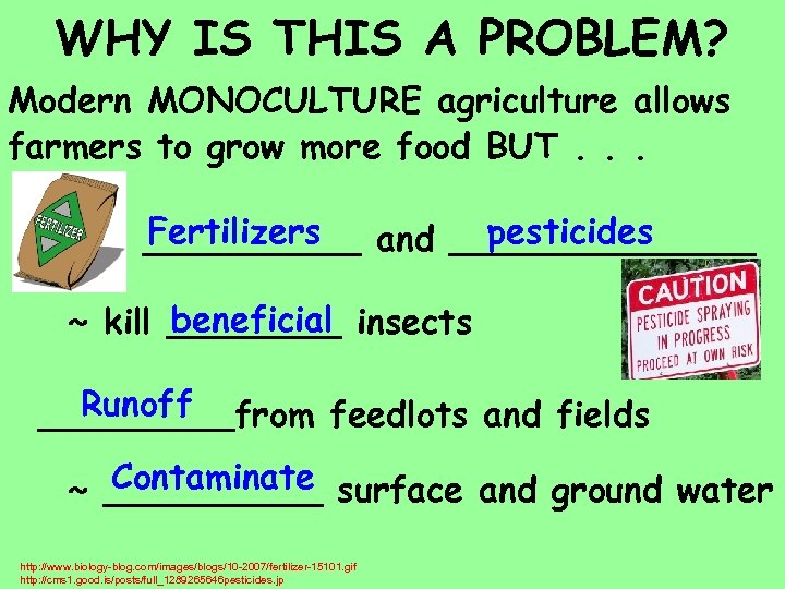 WHY IS THIS A PROBLEM? Modern MONOCULTURE agriculture allows farmers to grow more food