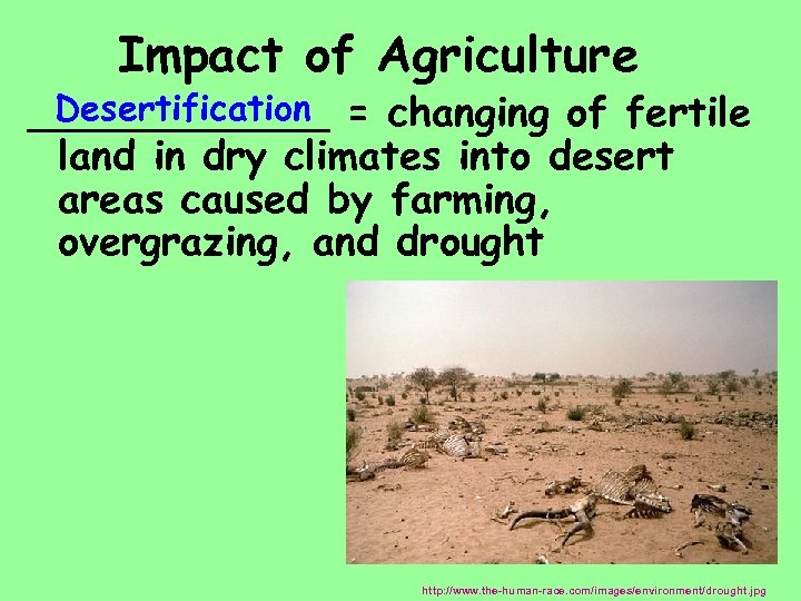  Impact of Agriculture Desertification ______ = changing of fertile land in dry climates