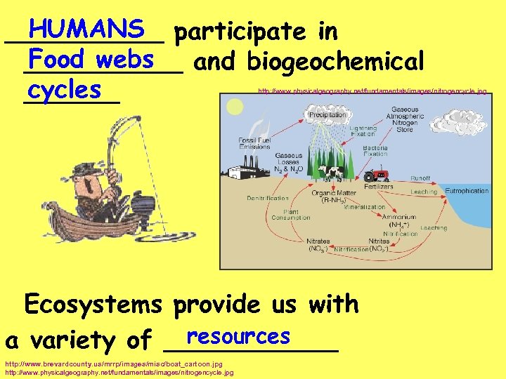 HUMANS _____ participate in Food webs _____ and biogeochemical cycles ______ http: //www. physicalgeography.