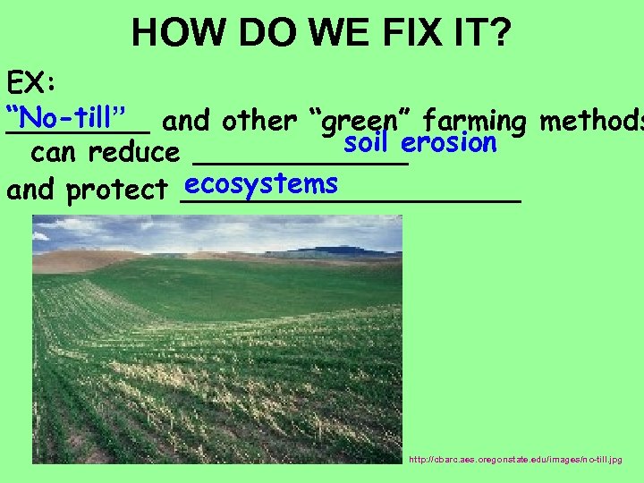 HOW DO WE FIX IT? EX: “No-till” and other “green” farming methods ____ soil