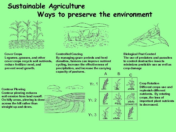 Sustainable Agriculture Ways to preserve the environment Cover Crops Legumes, grasses, and other cover