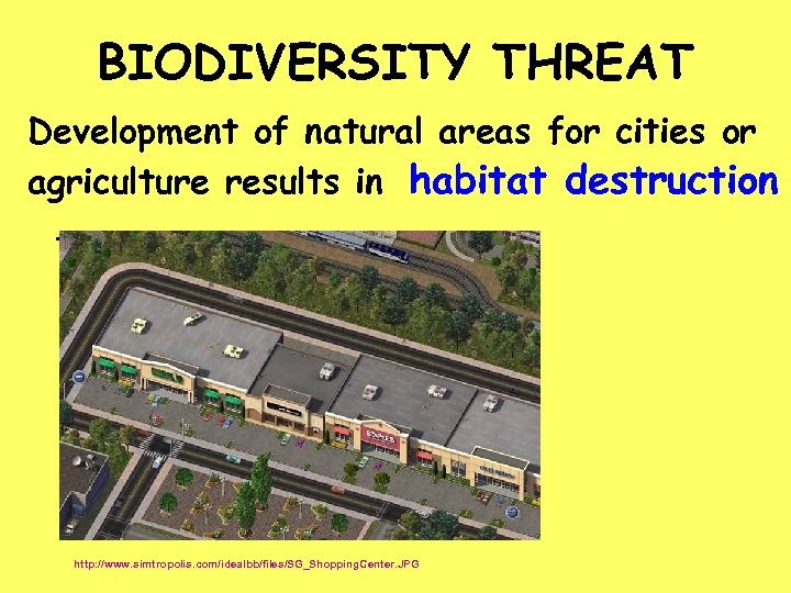 BIODIVERSITY THREAT Development of natural areas for cities or agriculture results in habitat destruction