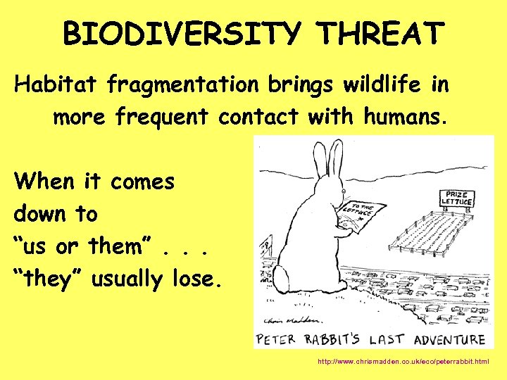 BIODIVERSITY THREAT Habitat fragmentation brings wildlife in more frequent contact with humans. When it