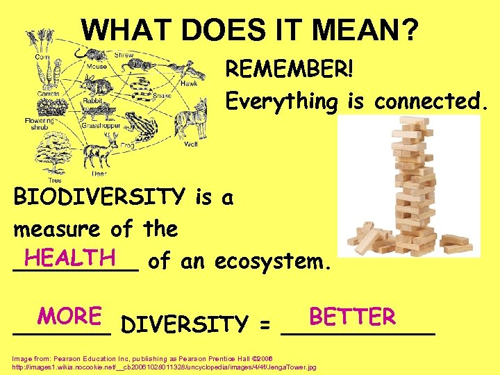 WHAT DOES IT MEAN? REMEMBER! Everything is connected. BIODIVERSITY is a measure of the