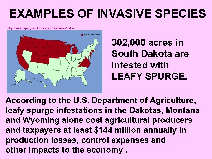 EXAMPLES OF INVASIVE SPECIES http: //www. nps. gov/plants/alien/map/eues 1. htm 302, 000 acres in