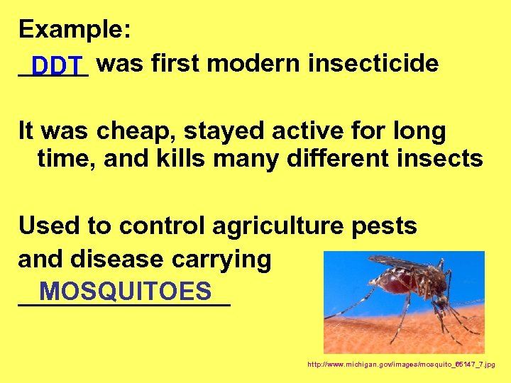 Example: _____ was first modern insecticide DDT It was cheap, stayed active for long
