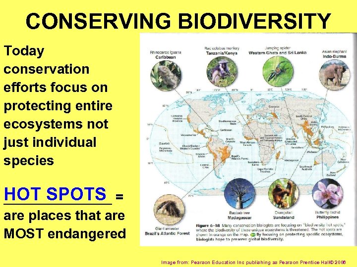 CONSERVING BIODIVERSITY Today conservation efforts focus on protecting entire ecosystems not just individual species