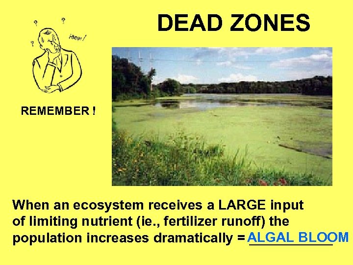 DEAD ZONES REMEMBER ! When an ecosystem receives a LARGE input of limiting nutrient