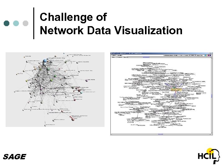 Challenge of Network Data Visualization SAGE 