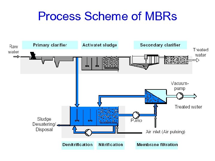 Process Scheme of MBRs 