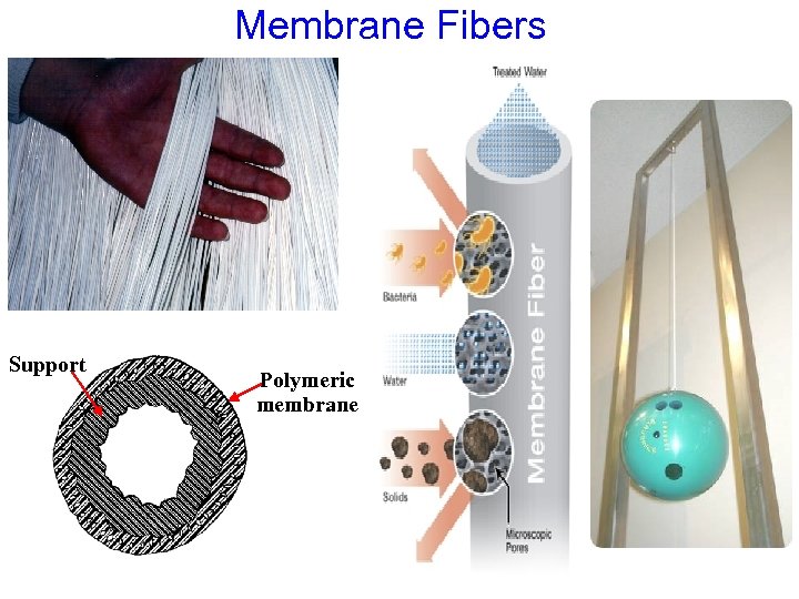Membrane Fibers Support Polymeric membrane 