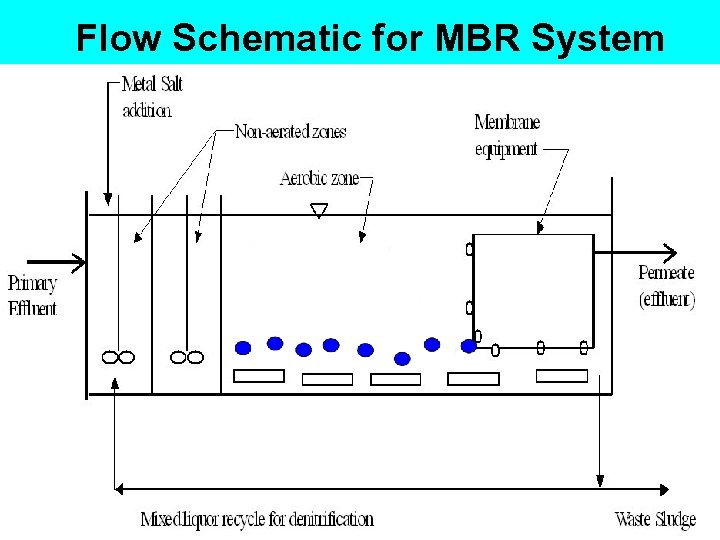 Flow Schematic for MBR System 