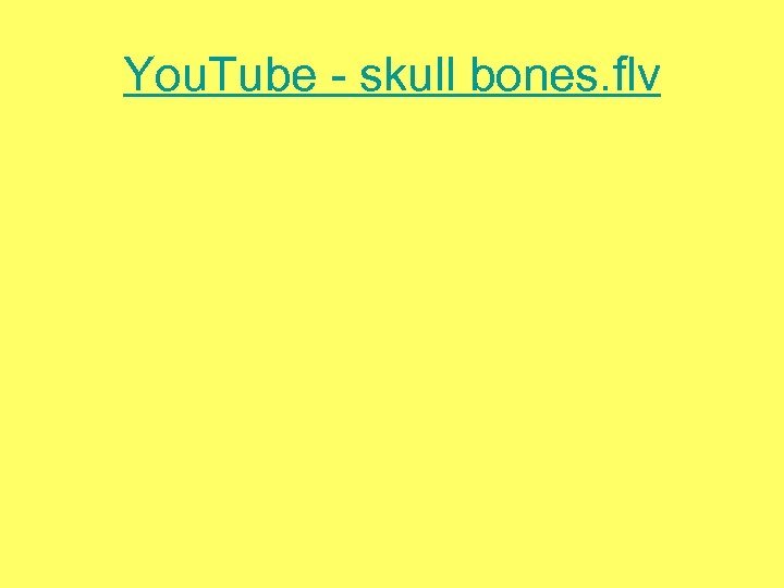 You. Tube - skull bones. flv 