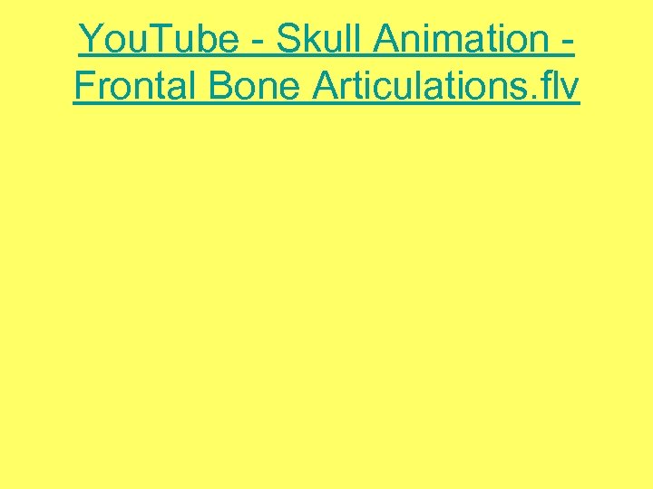 You. Tube - Skull Animation Frontal Bone Articulations. flv 