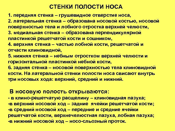 СТЕНКИ ПОЛОСТИ НОСА 1. передняя стенка – грушевидное отверстие носа, 2. латеральная стенка –