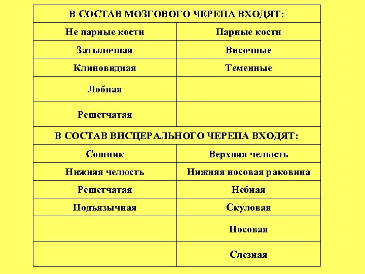 В СОСТАВ МОЗГОВОГО ЧЕРЕПА ВХОДЯТ: Не парные кости Парные кости Затылочная Височные Клиновидная Теменные