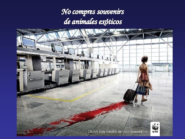 No compres souvenirs de animales exóticos 