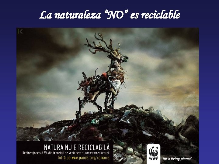 La naturaleza “NO” es reciclable 