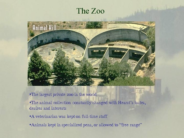 The Zoo • The largest private zoo in the world • The animal collection