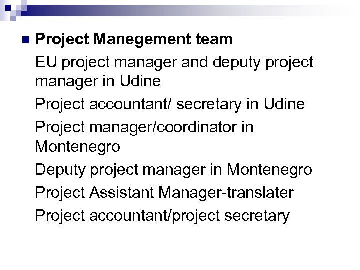 n Project Manegement team EU project manager and deputy project manager in Udine Project