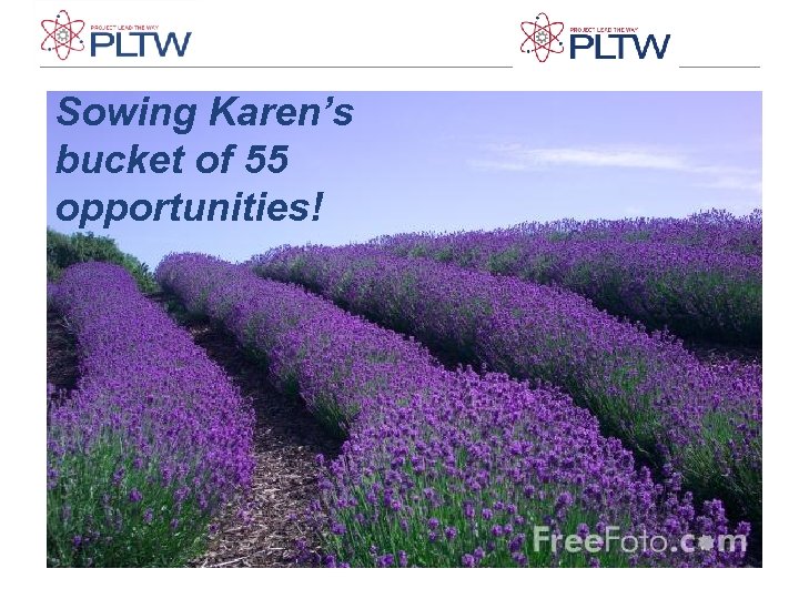Sowing Karen’s bucket of 55 opportunities! 