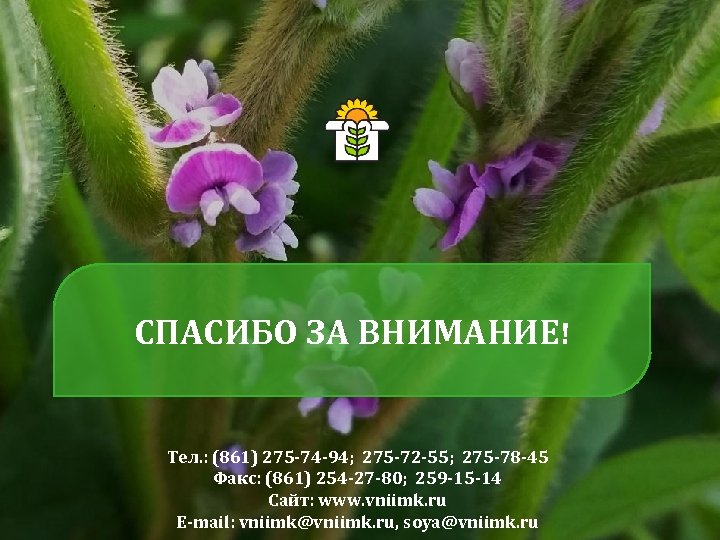 СПАСИБО ЗА ВНИМАНИЕ! Тел. : (861) 275 -74 -94; 275 -72 -55; 275 -78