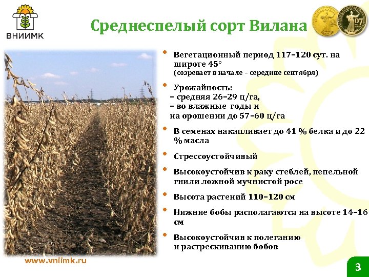 Среднеспелый сорт Вилана • Вегетационный период 117– 120 сут. на широте 45° (созревает в