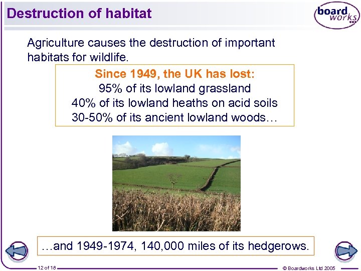 Destruction of habitat Agriculture causes the destruction of important habitats for wildlife. Since 1949,