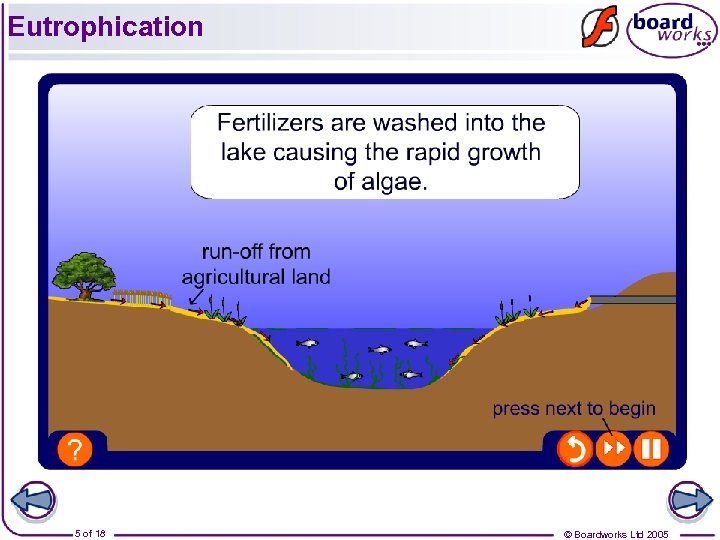 Eutrophication 5 of 18 © Boardworks Ltd 2005 