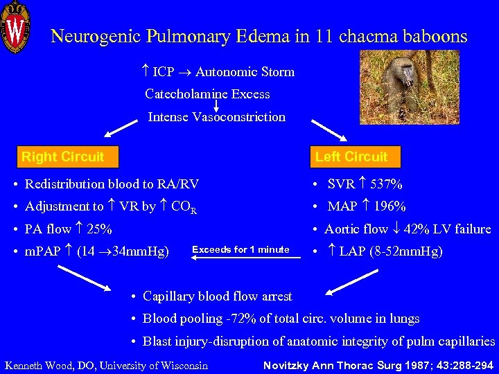 Neurogenic Pulmonary Edema in 11 chacma baboons ICP Autonomic Storm Catecholamine Excess Intense Vasoconstriction