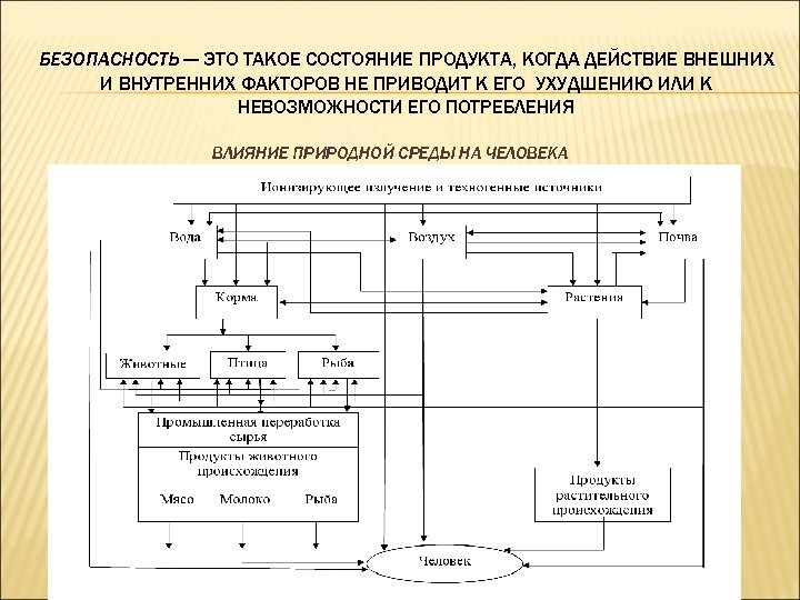 БЕЗОПАСНОСТЬ — ЭТО ТАКОЕ СОСТОЯНИЕ ПРОДУКТА, КОГДА ДЕЙСТВИЕ ВНЕШНИХ И ВНУТРЕННИХ ФАКТОРОВ НЕ ПРИВОДИТ