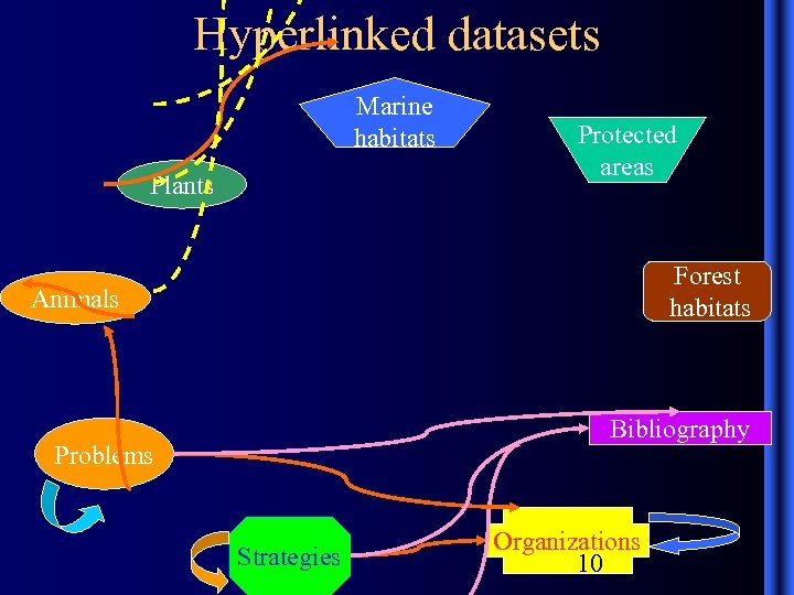 Hyperlinked datasets Marine habitats Plants Protected areas Forest habitats Animals Bibliography Problems Strategies Organizations